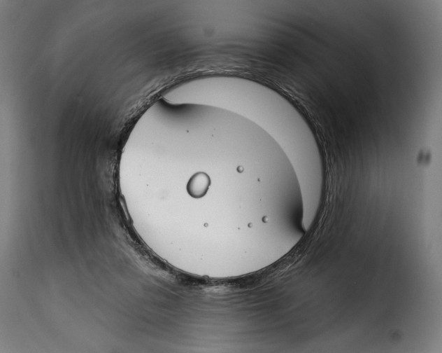 X0000114990309200911231147