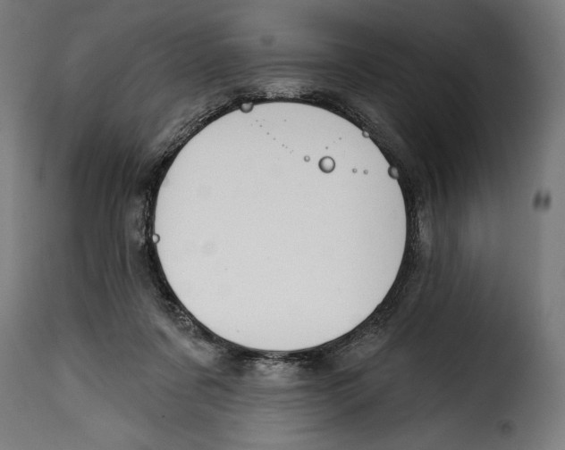 X0000114990311200911231147