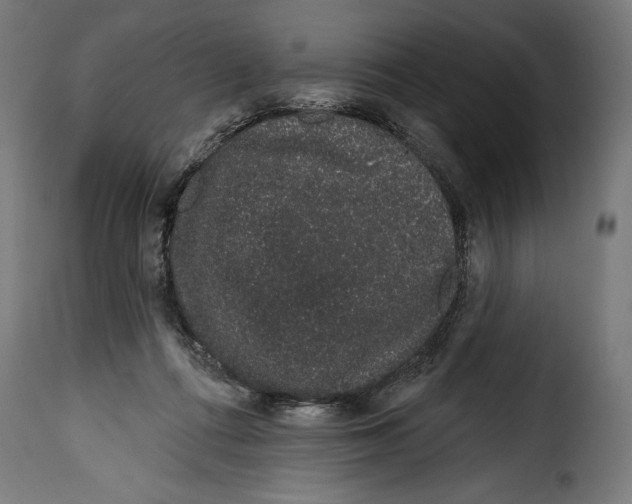 X0000114990312200911231147