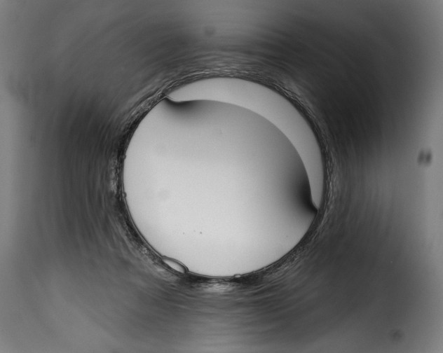 X0000114990313200911231147