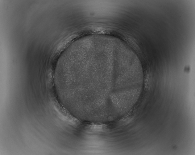 X0000114990314200911231147