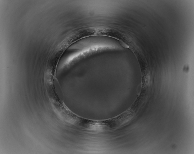 X0000114990316200911231147