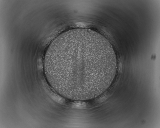 X0000114990317200911231147