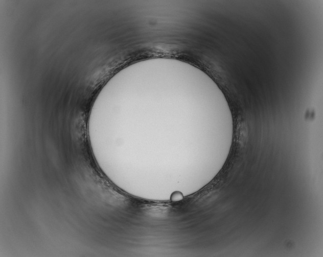 X0000114990318200911231147