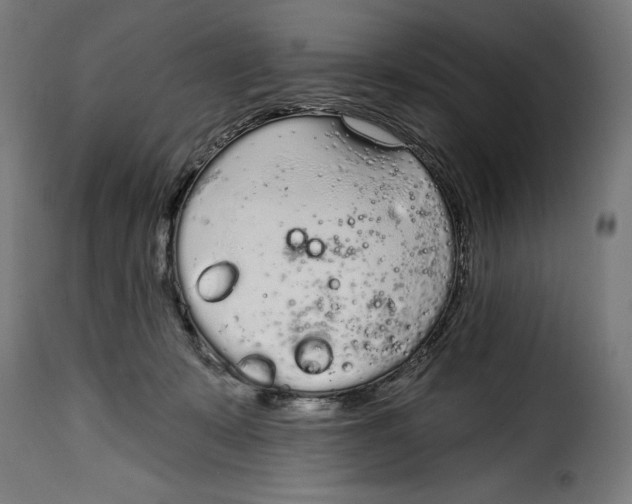 X0000114990319200911231147