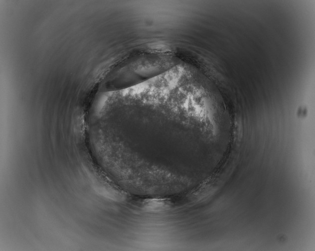 X0000114990320200911231147