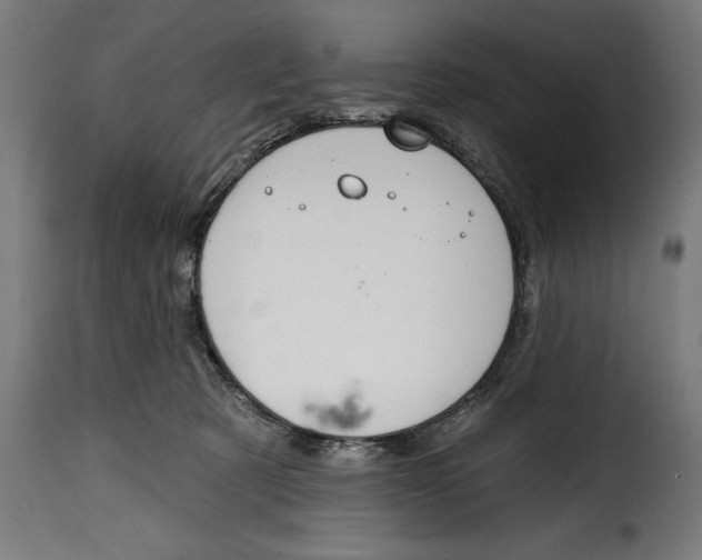 X0000114990321200911231147