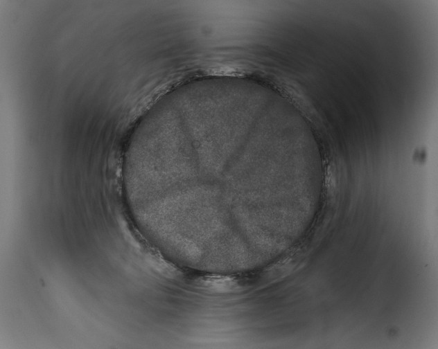 X0000114990322200911231147