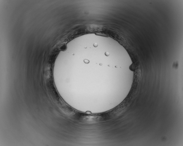 X0000114990323200911231147