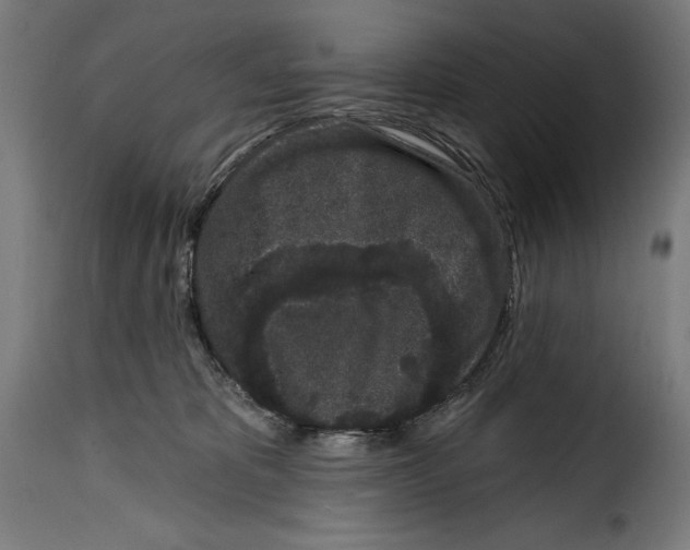 X0000114990325200911231147