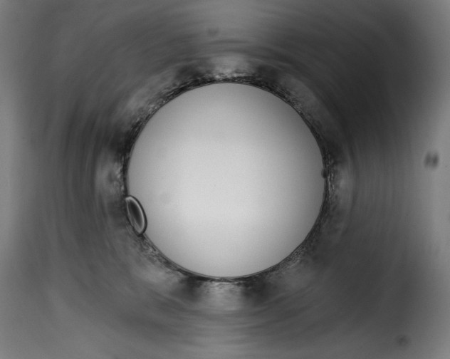 X0000114990327200911231147