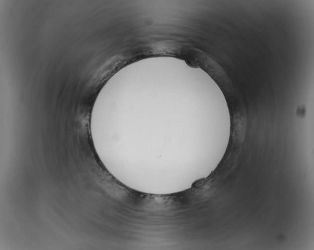 X0000114990329200911231147