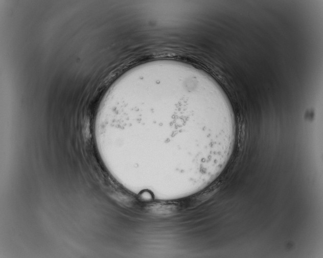 X0000114990331200911231147