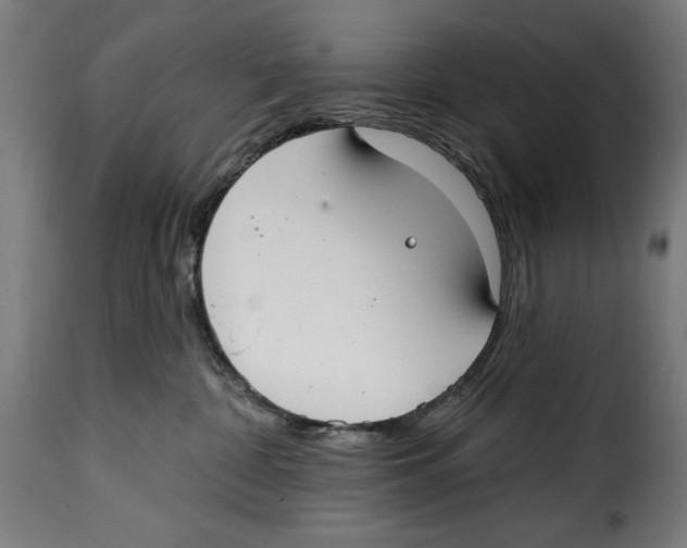 X0000114990332200911231147