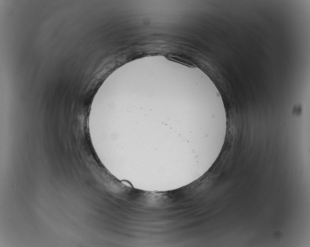 X0000114990333200911231147