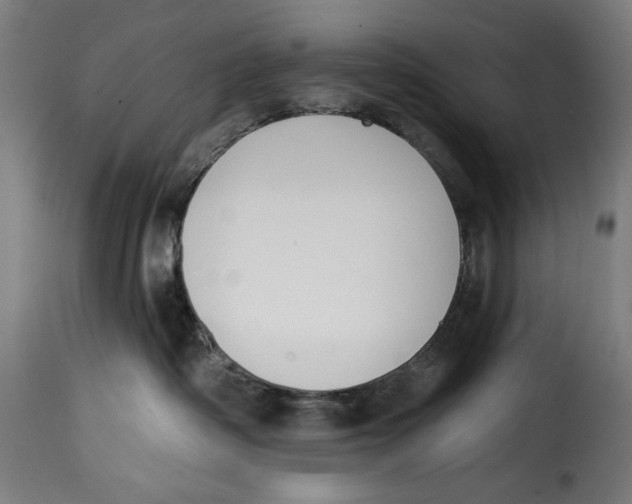 X0000114990334200911231147