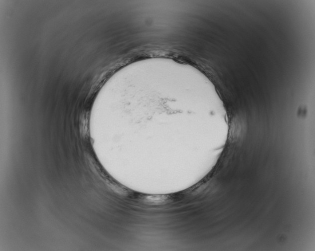 X0000114990335200911231147