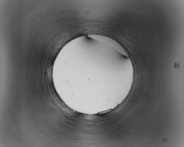 X0000114990336200911231147