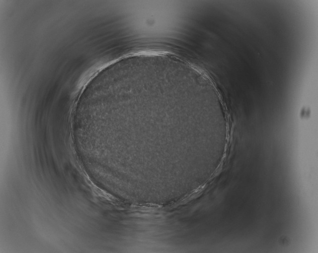 X0000114990337200911231146