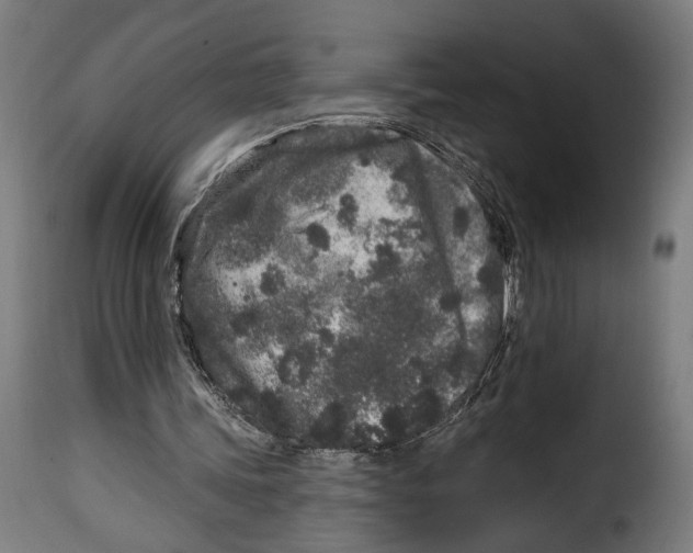 X0000114990339200911231146