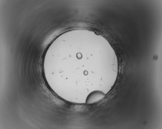 X0000114990341200911231146