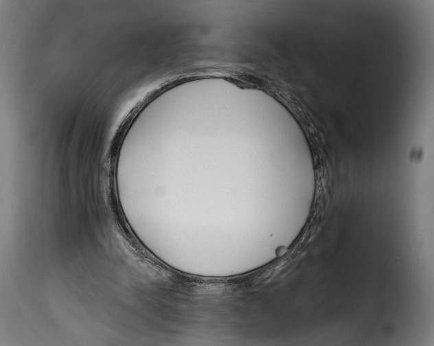 X0000114990342200911231146