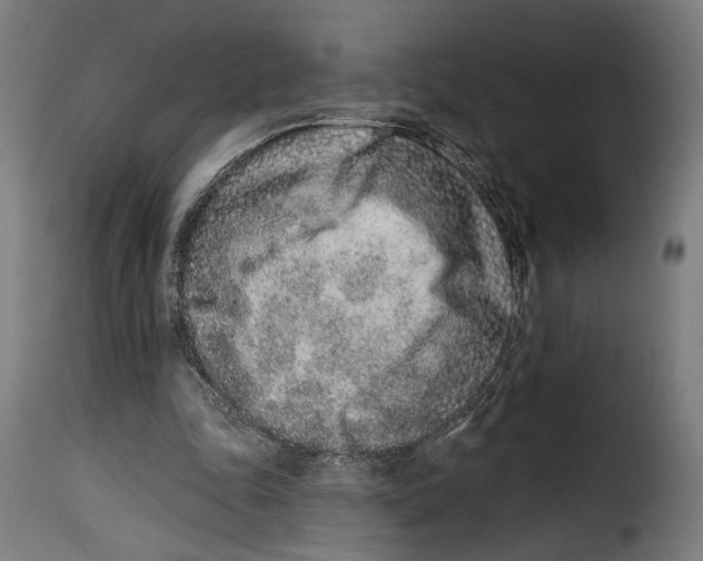 X0000114990343200911231146