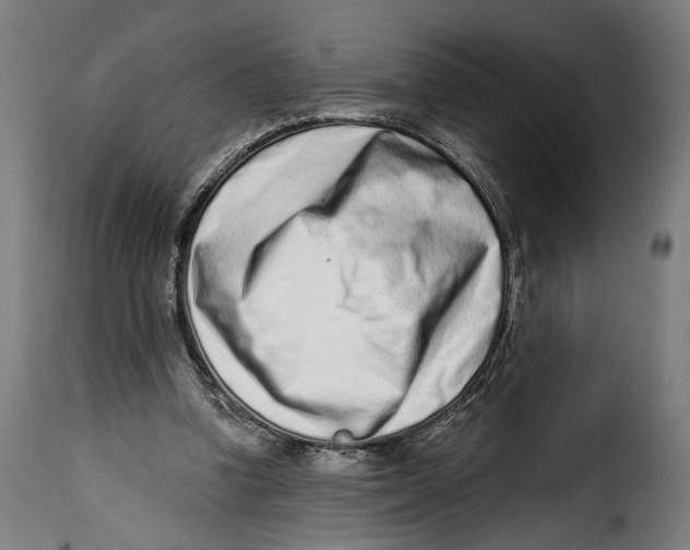 X0000114990346200911231146