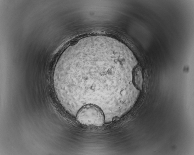 X0000114990347200911231146