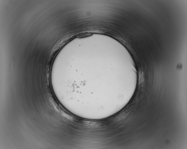 X0000114990349200911231146