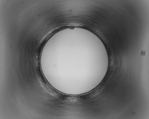 X0000114990351200911231146