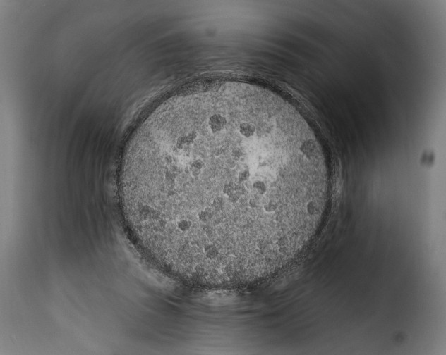 X0000114990353200911231146