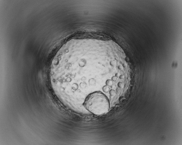 X0000114990359200911231147