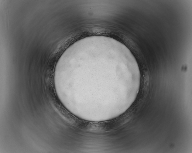 X0000114990361200911231147