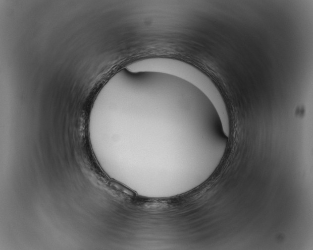 X0000114990362200911231147