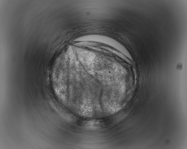 X0000114990366200911231147