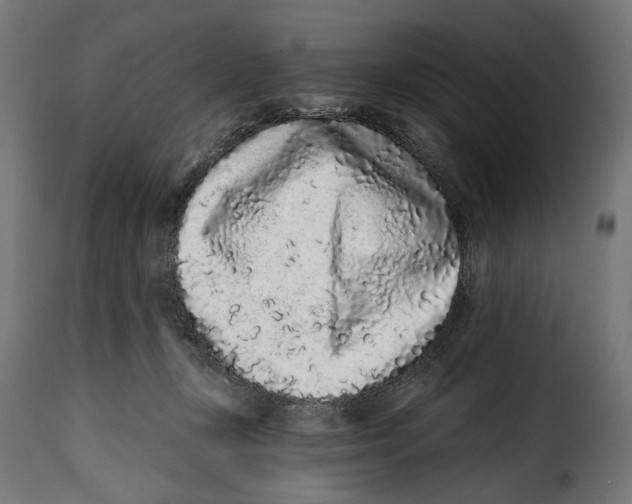 X0000114990367200911231147