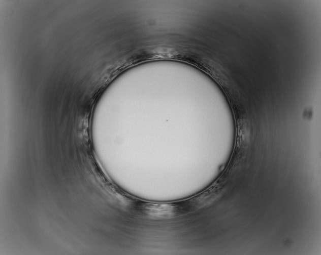 X0000114990369200911231147