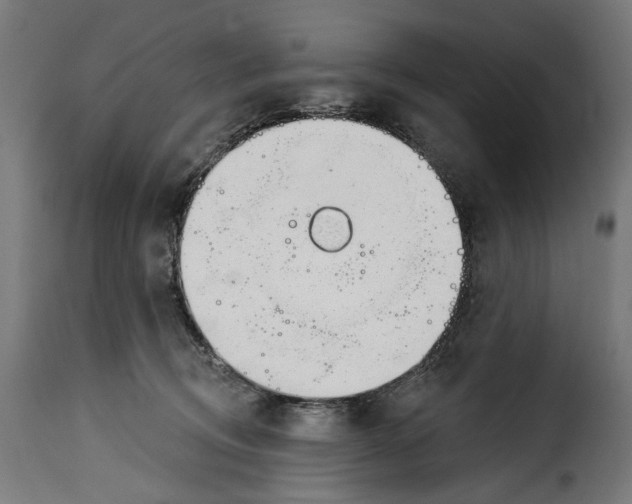 X0000114990370200911231147