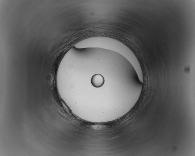 X0000114990371200911231147