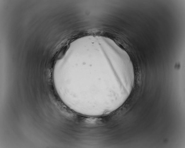 X0000114990375200911231147