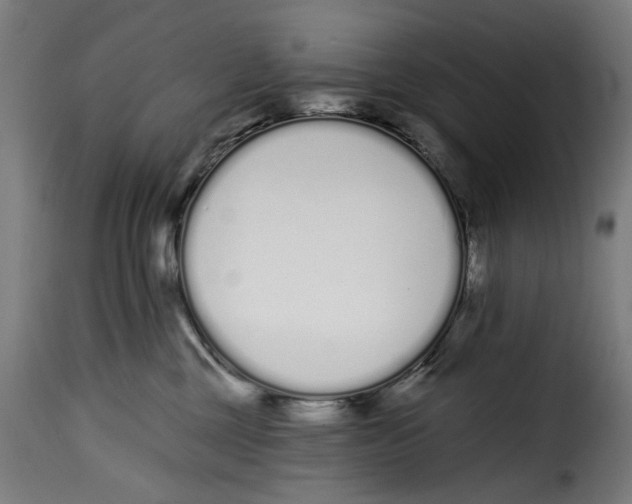 X0000114990377200911231147