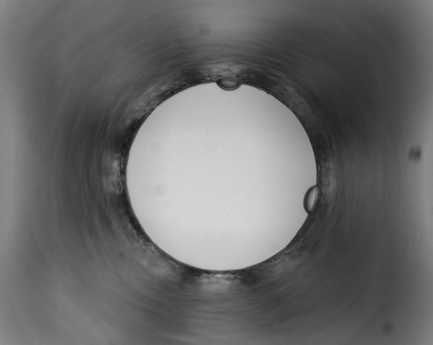 X0000114990378200911231147