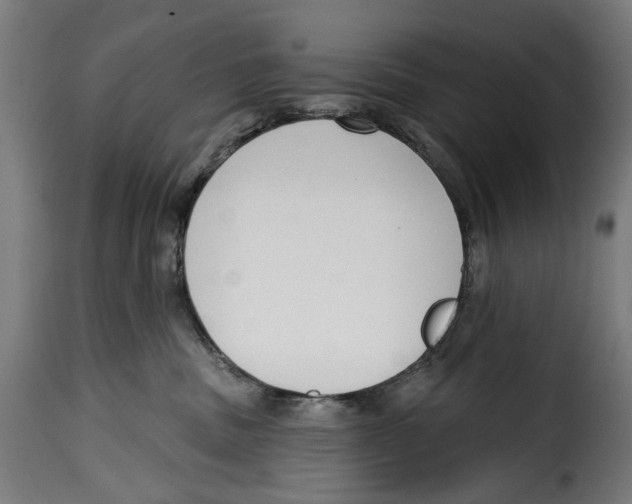 X0000114990379200911231147