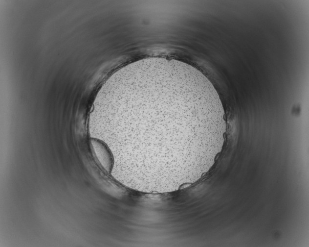 X0000114990381200911231147