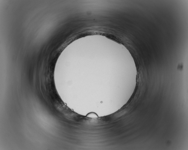 X0000114990382200911231147