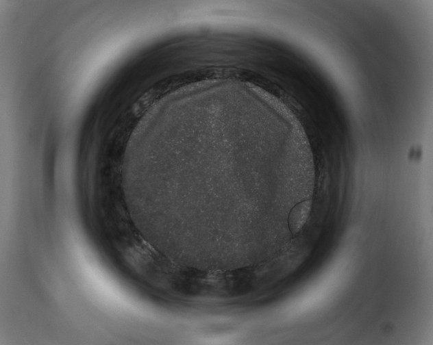 X0000114990383200911231147