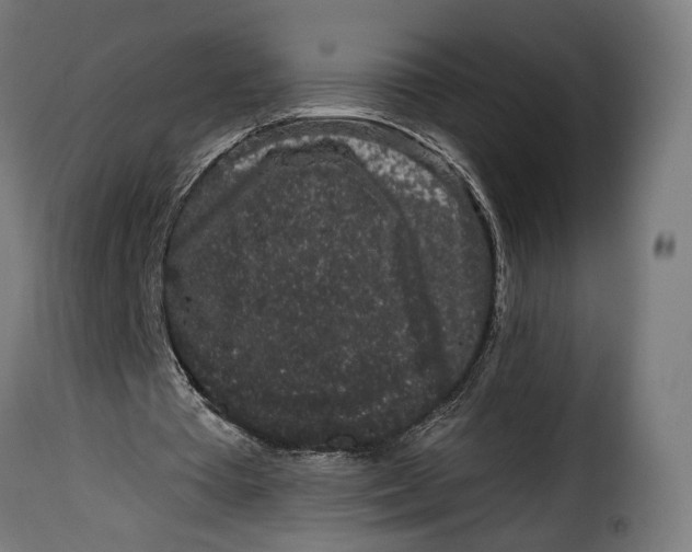 X0000114990385200911231146