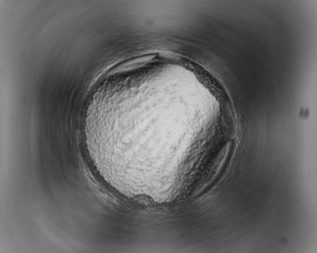 X0000114990386200911231146