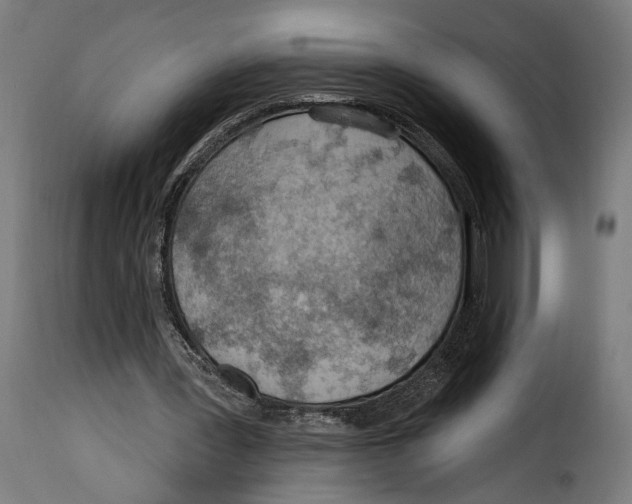 X0000114990387200911231146